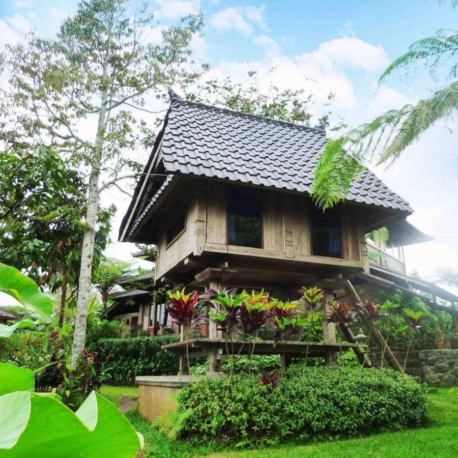 Вилла Bali Mountain Retreat Selemadeg  Экстерьер фото