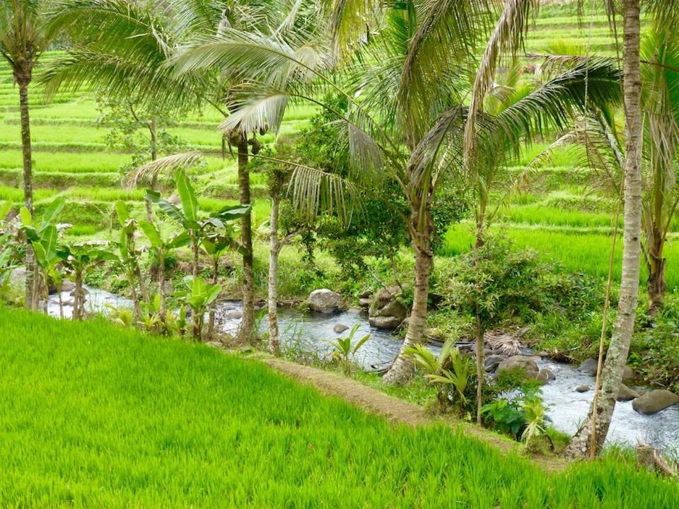 Вилла Bali Mountain Retreat Selemadeg  Экстерьер фото