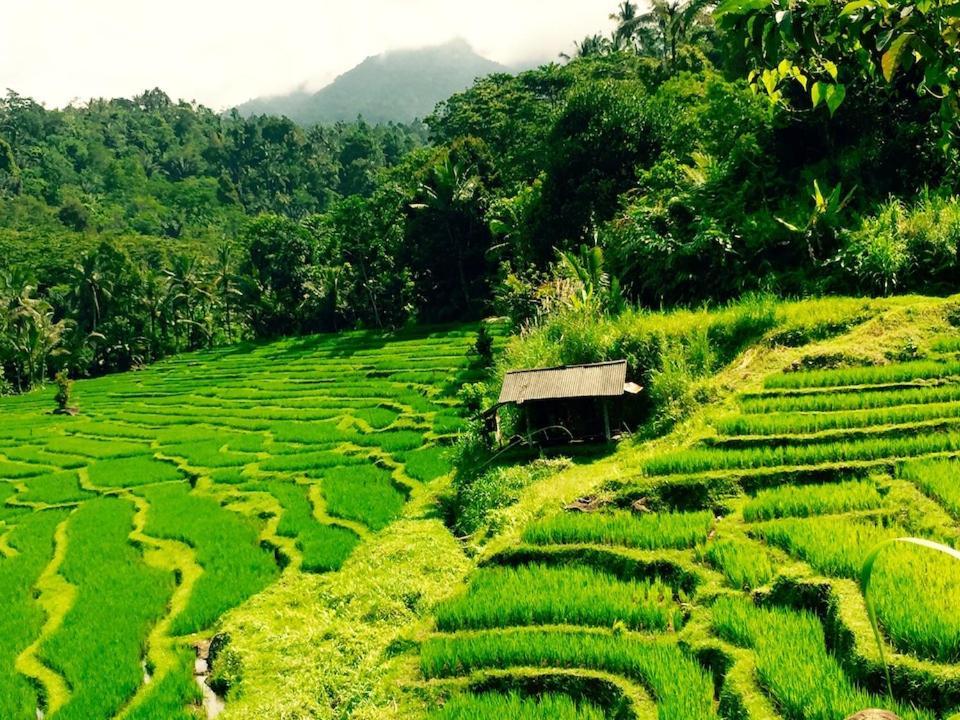 Вилла Bali Mountain Retreat Selemadeg  Экстерьер фото