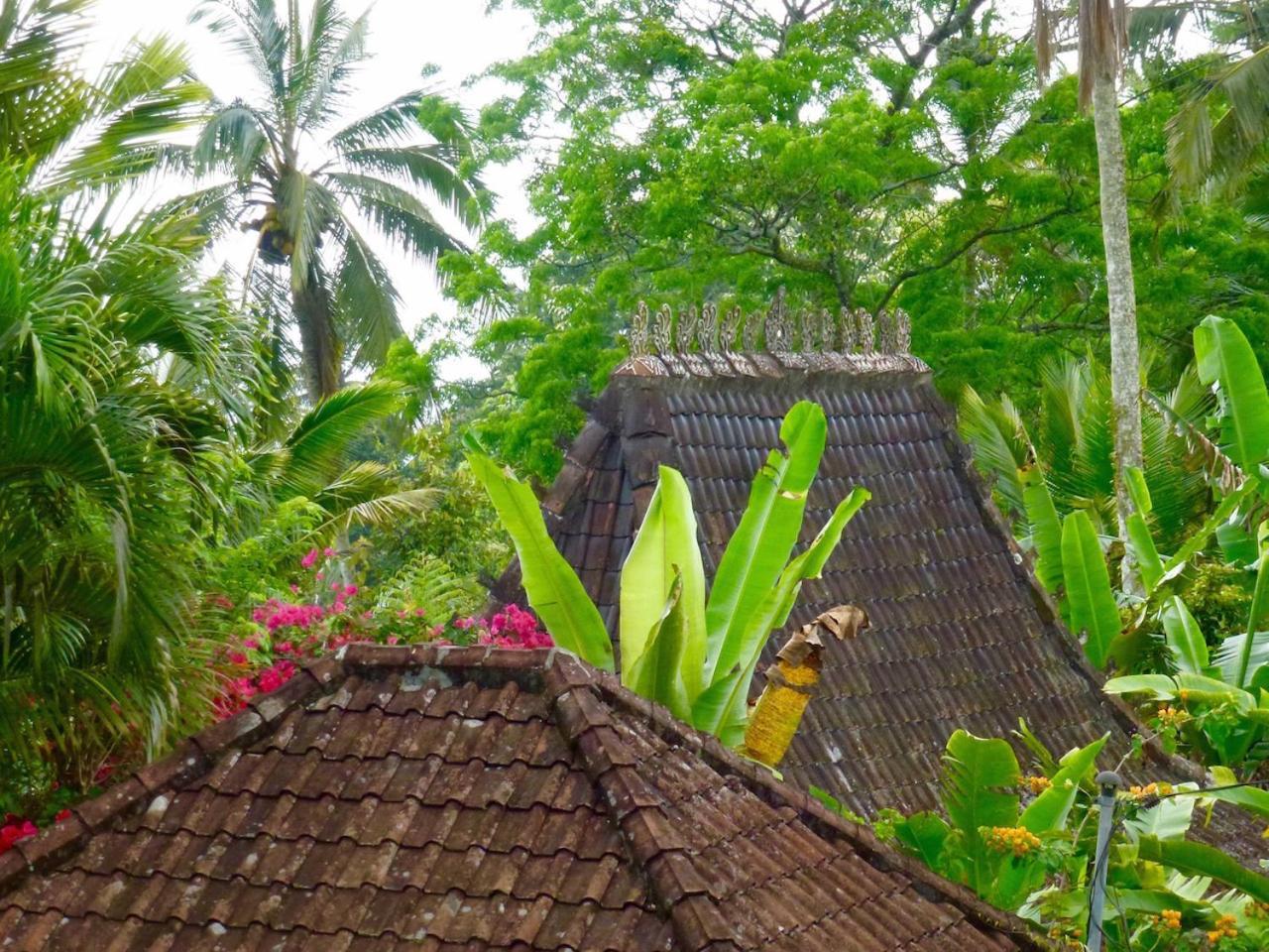Вилла Bali Mountain Retreat Selemadeg  Экстерьер фото