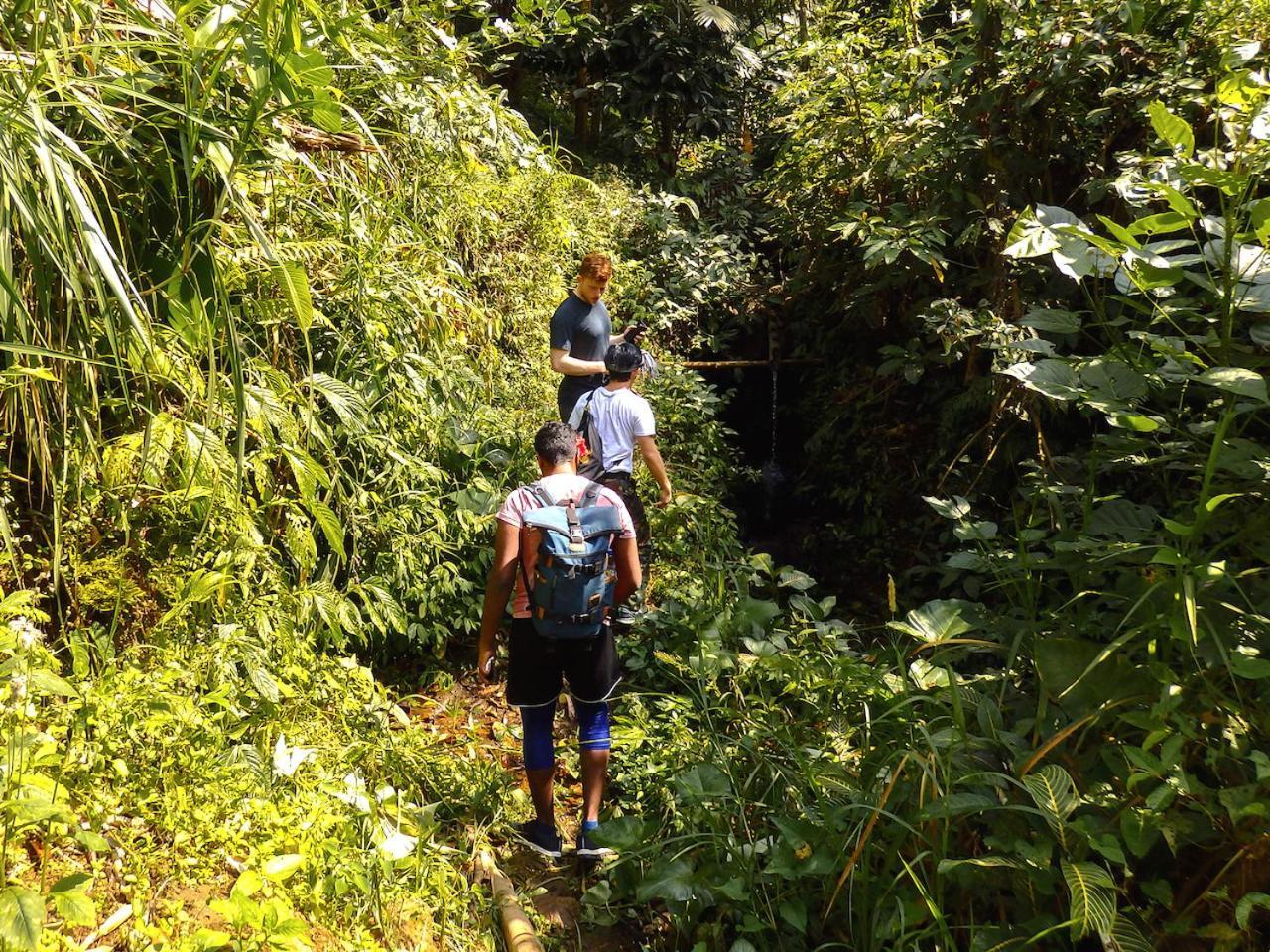 Вилла Bali Mountain Retreat Selemadeg  Экстерьер фото