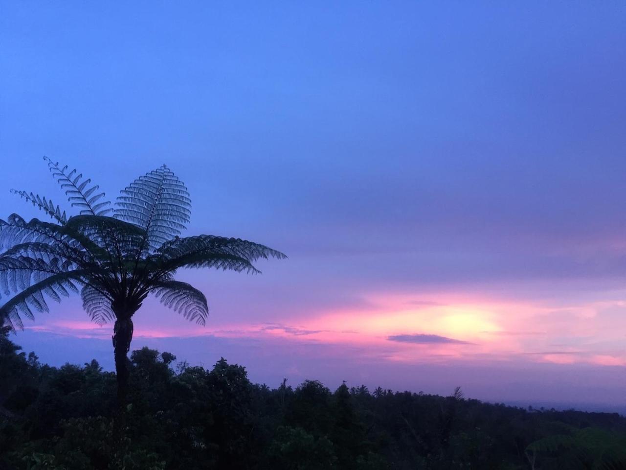 Вилла Bali Mountain Retreat Selemadeg  Экстерьер фото