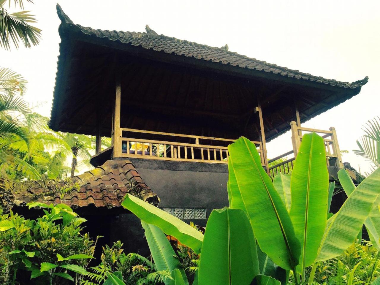 Вилла Bali Mountain Retreat Selemadeg  Экстерьер фото